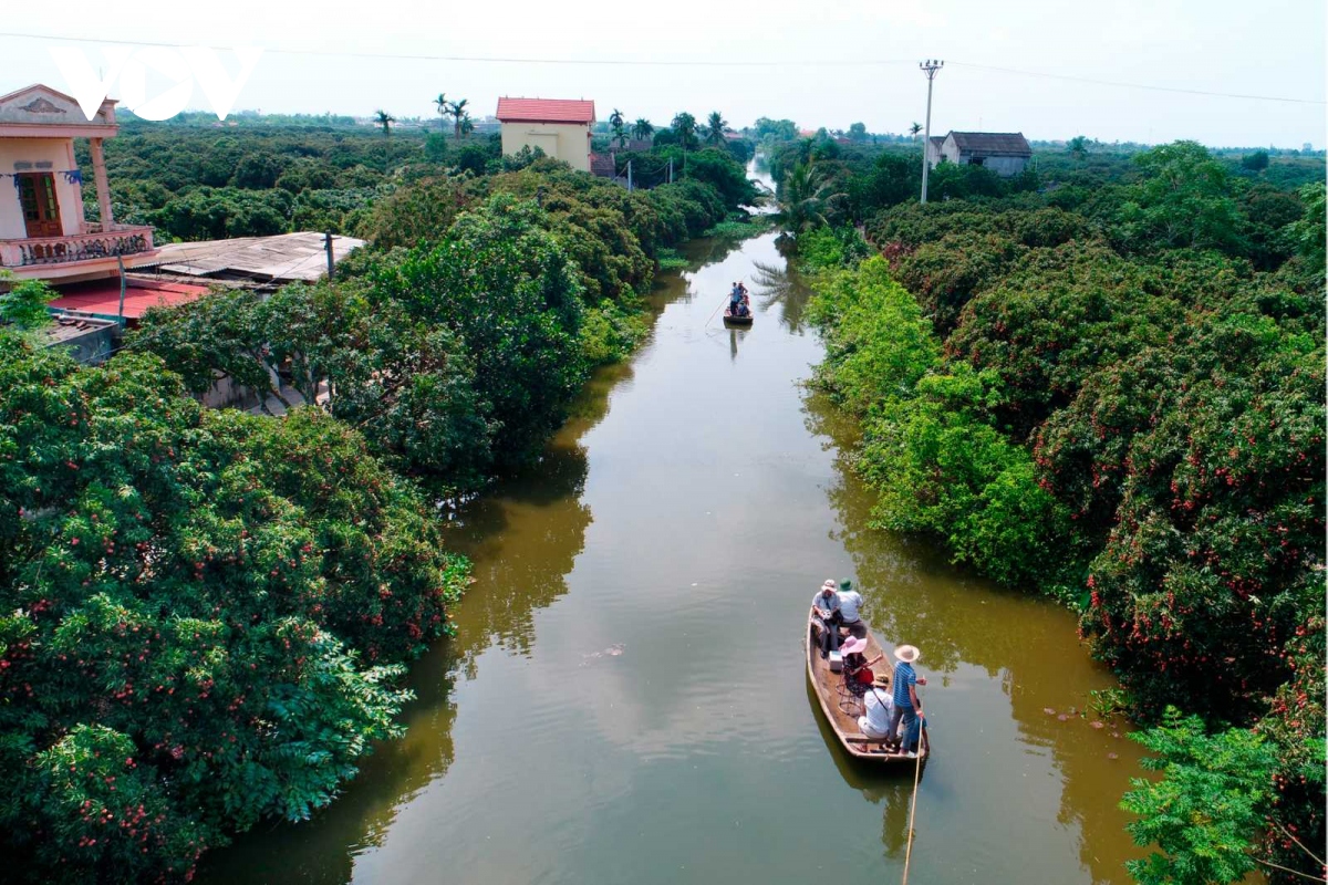 thanh ha mua vai chin hinh anh 7