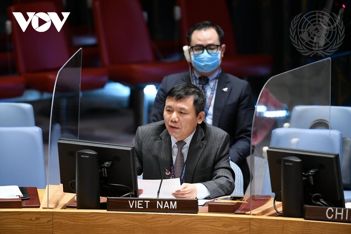 vietnamese diplomat there is no military solution to yemen conflict picture 1