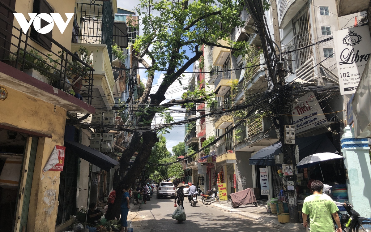 Duong dien, day thong tin bo to nhu goc cay vat veo tren dau nguoi dan thu do hinh anh 3