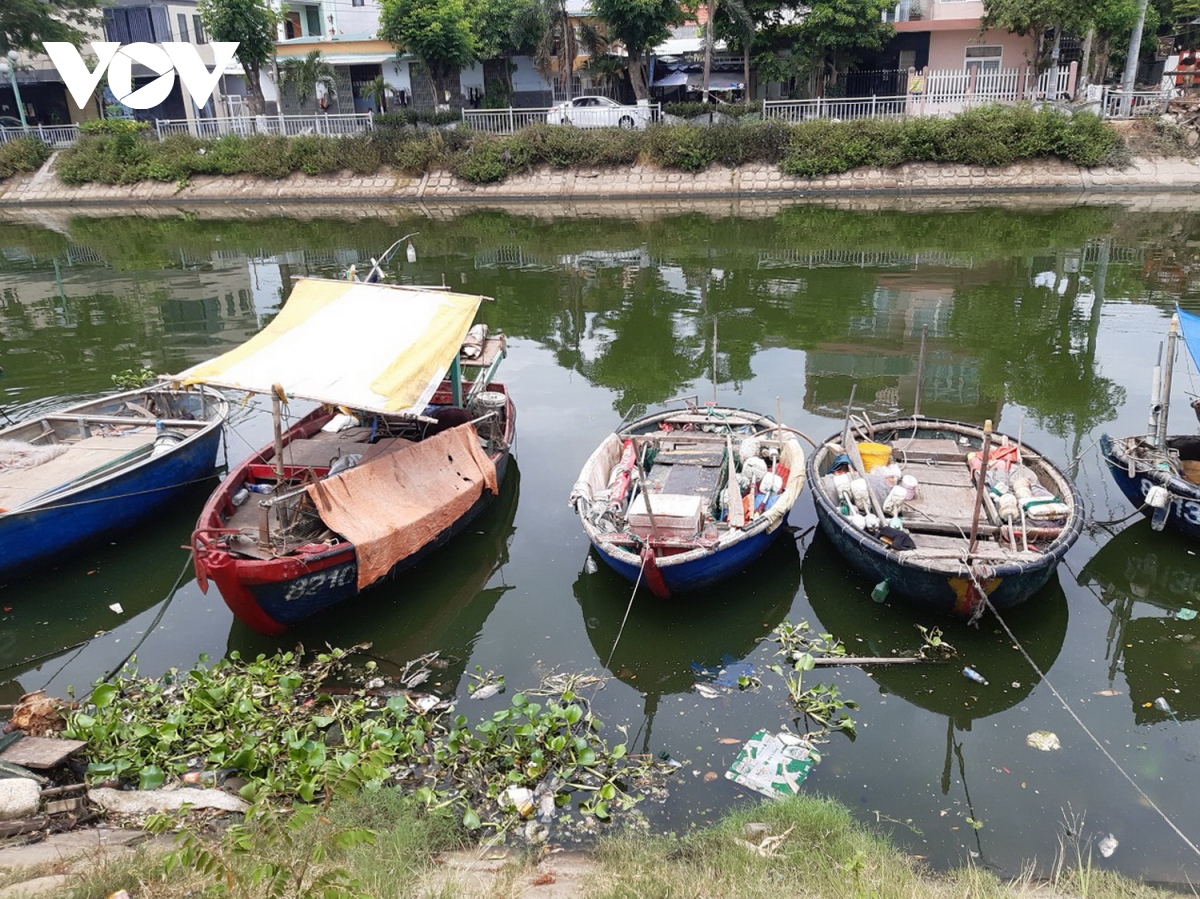 ca lai chet trang tren kenh phu loc, Da nang hinh anh 2