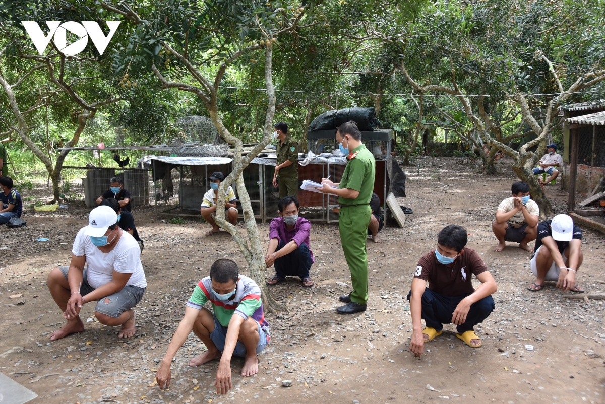 bat giu 19 doi tuong da ga an tien trong thoi gian gian cach xa hoi tai tien giang hinh anh 1