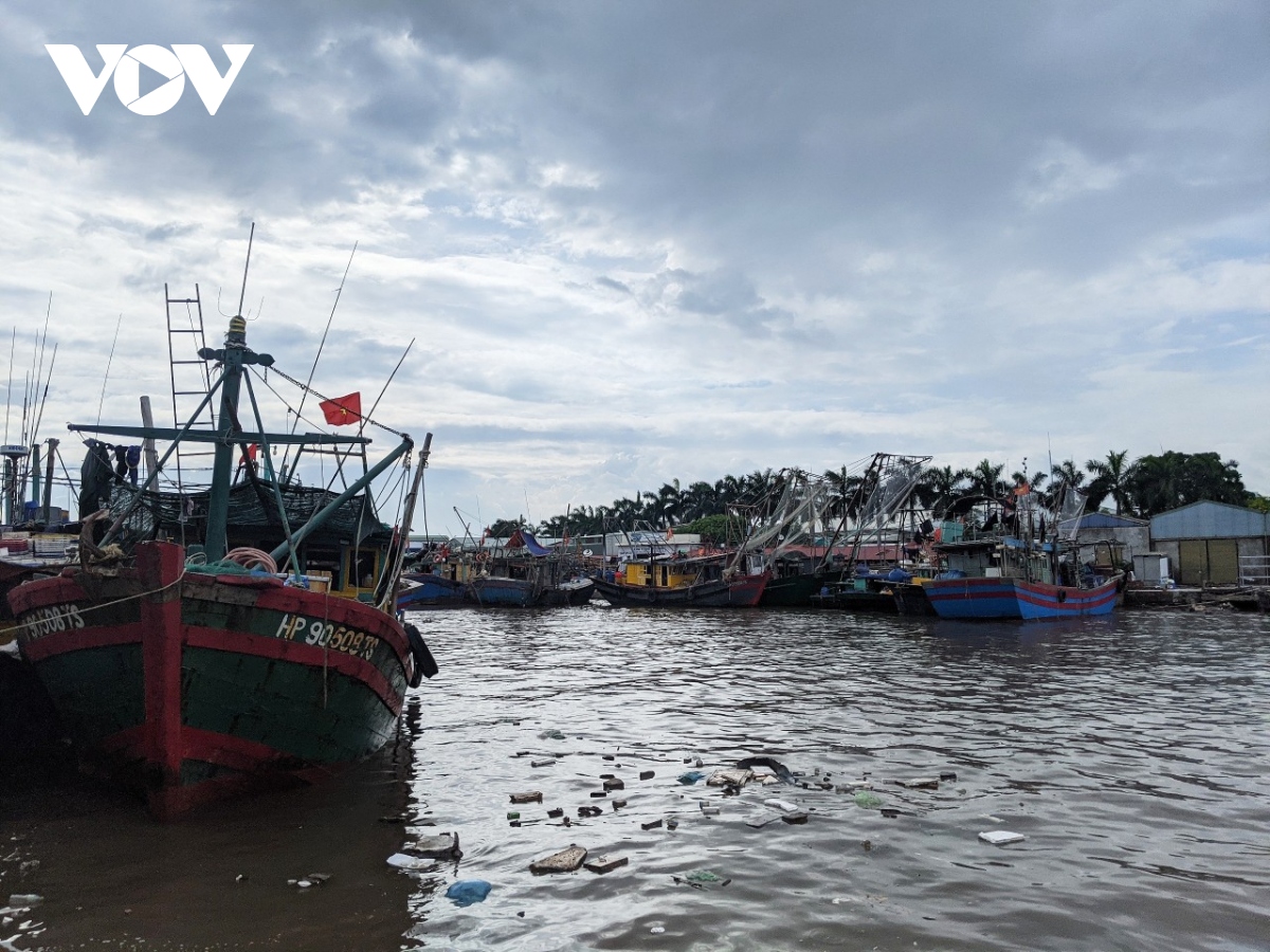 hai phong, quang ninh cam bien de ung pho bao so 2 hinh anh 1