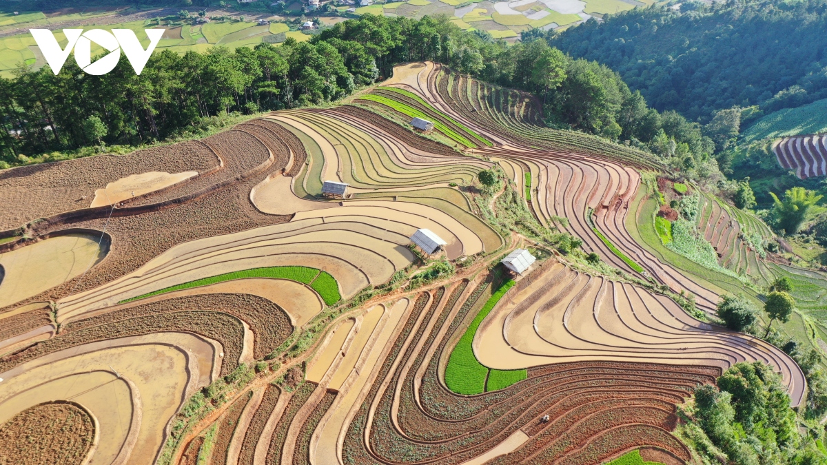 lung linh ruong bac thang mu cang chai mua nuoc do hinh anh 4