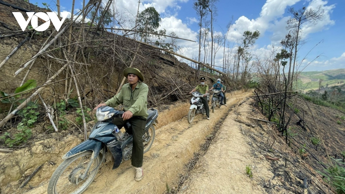 noi lo mat rung cung noi lo mat can bo rung tan hoang, can bo xin hang hinh anh 2