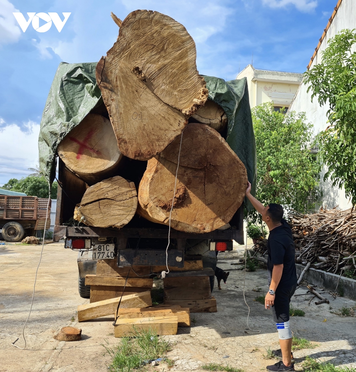 huyen kbang chi dao dieu tra vu pha rung co thu o xa Dak roong hinh anh 2