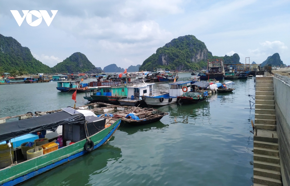 hai phong, quang ninh cam bien de ung pho bao so 2 hinh anh 4