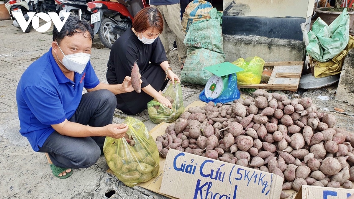 can tho chung tay tieu thu nong san, giup nong dan Dbscl hinh anh 2