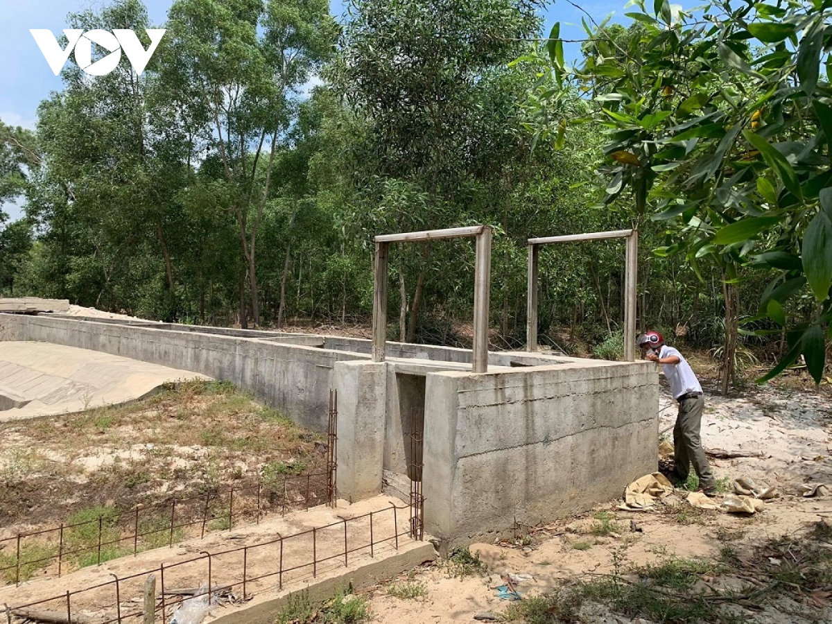 thua thien hue hang tram hecta lua cho du an thuy loi hinh anh 1