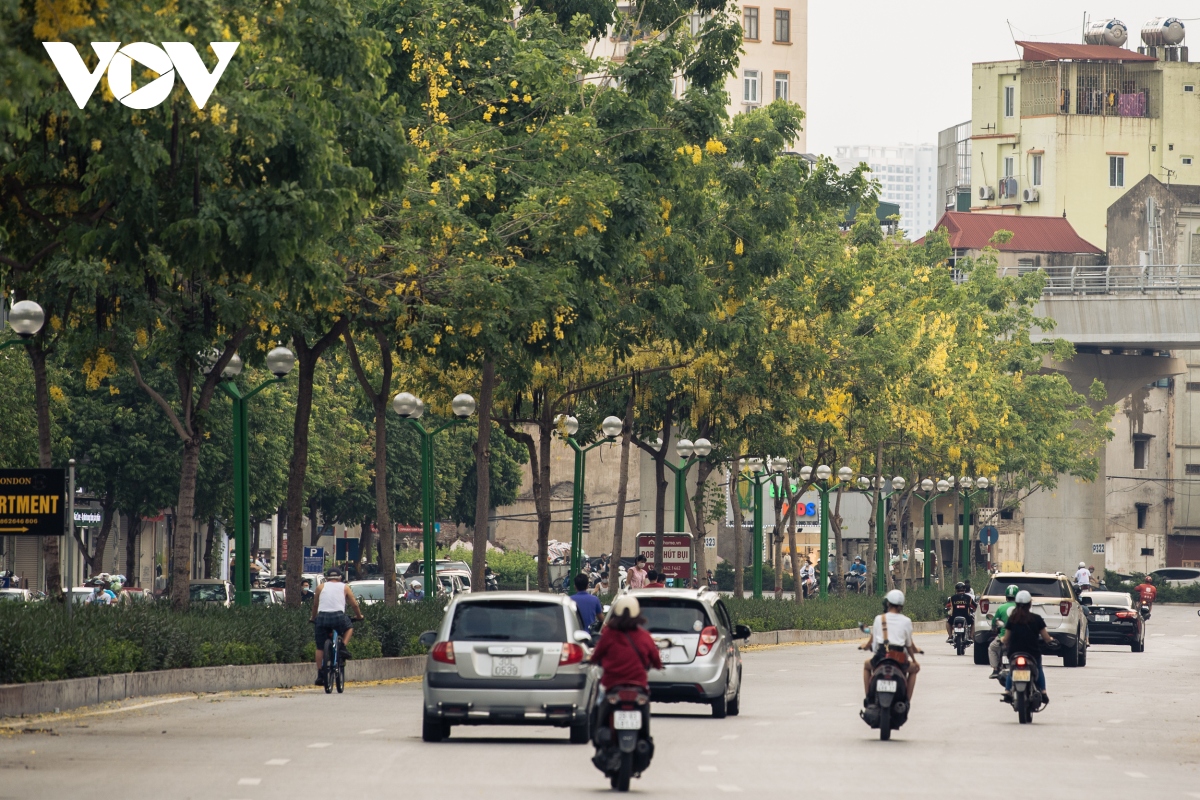 ngam hoa muong hoang yen nhuom vang goc pho ha noi hinh anh 4