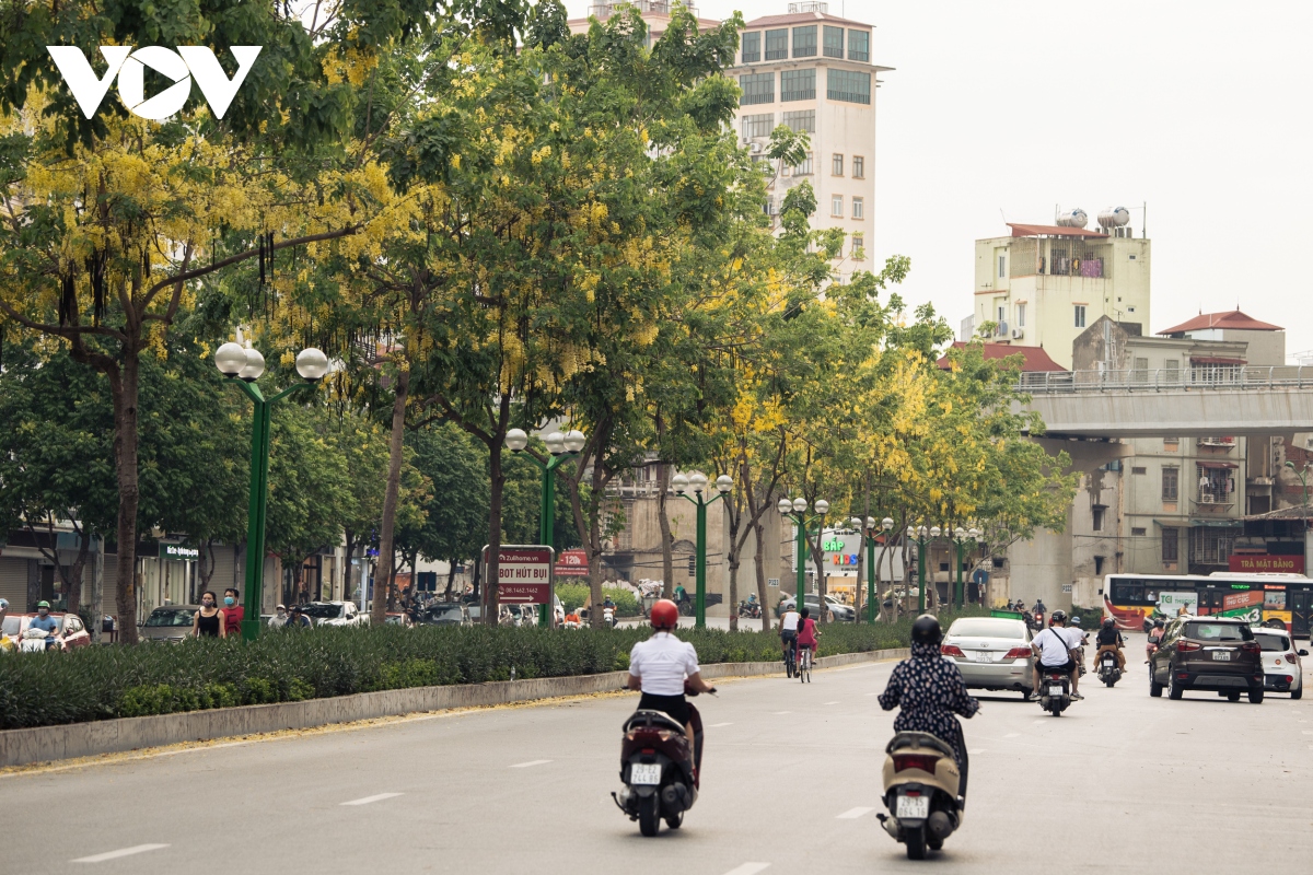 ngam hoa muong hoang yen nhuom vang goc pho ha noi hinh anh 8