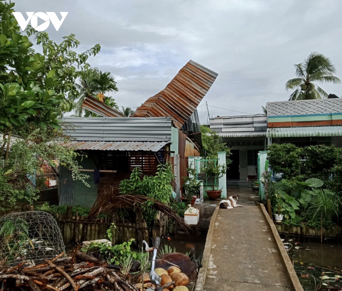 mua kem giong loc lam sap, toc mai nhieu nha dan tai hau giang hinh anh 1