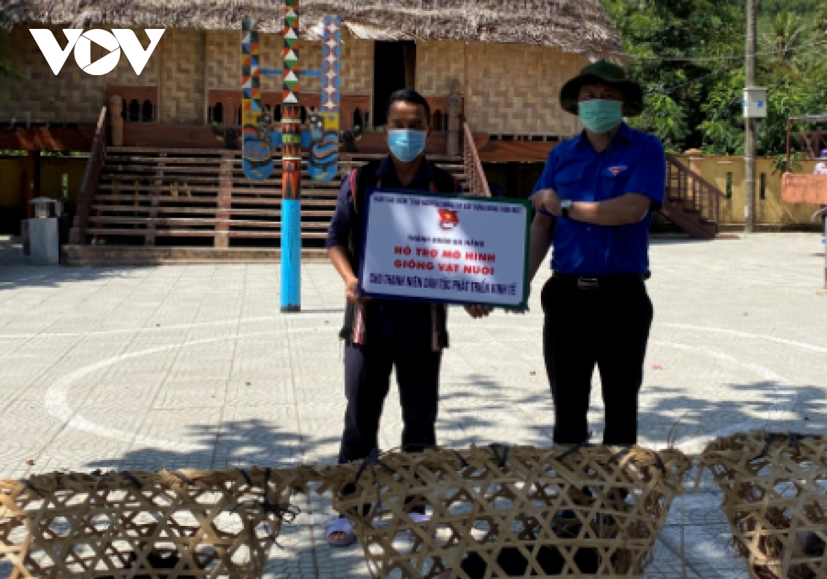 Da nang ho tro giong cay trong va vat nuoi cho nguoi dan, thanh nien dan toc co tu hinh anh 1