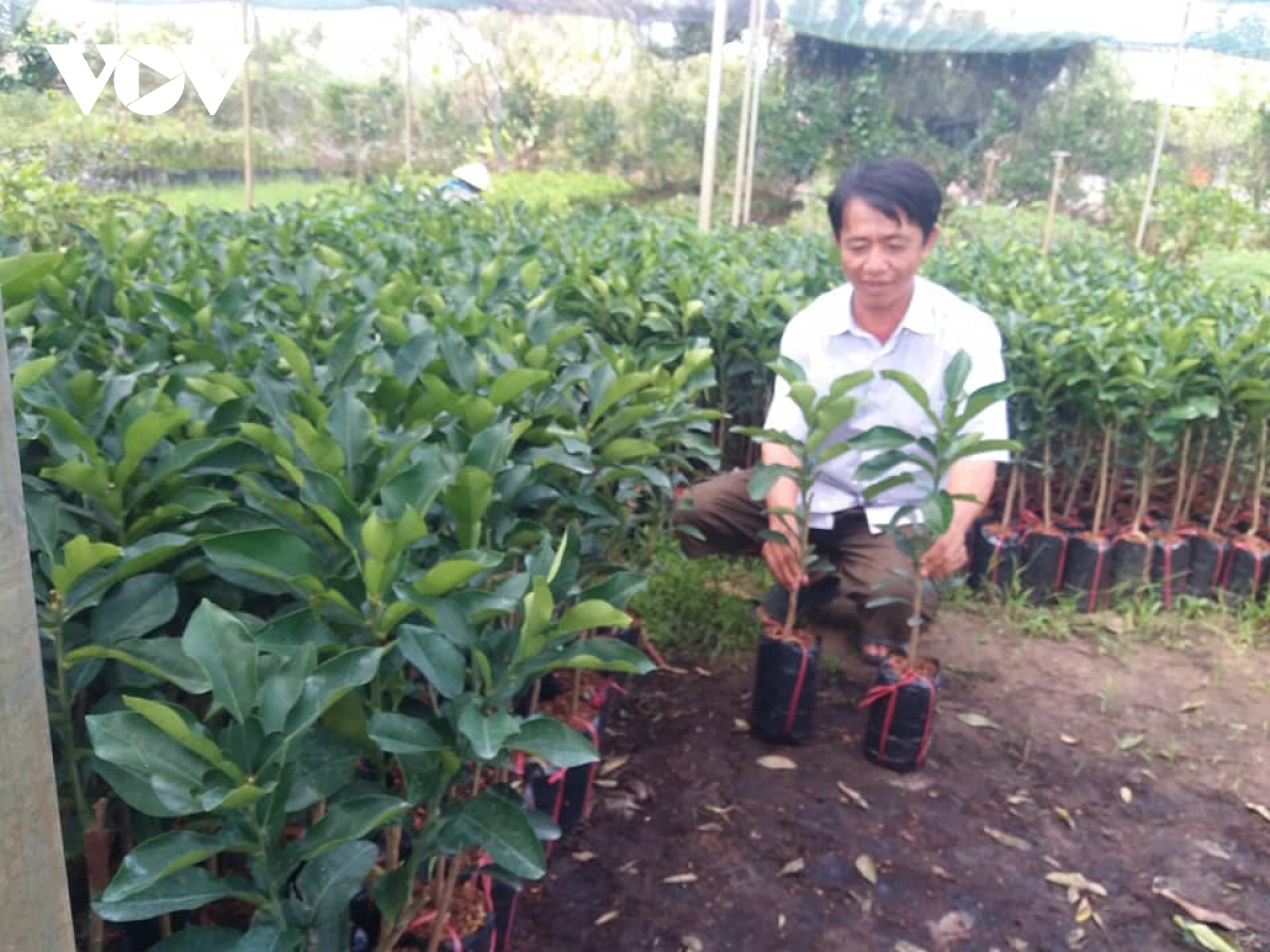 xu dua ben tre thuc hien muc tieu kep voi tinh than Dong khoi moi hinh anh 4