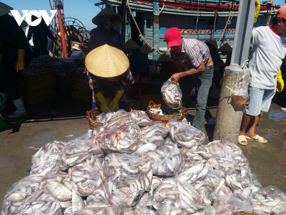 xu dua ben tre thuc hien muc tieu kep voi tinh than Dong khoi moi hinh anh 5