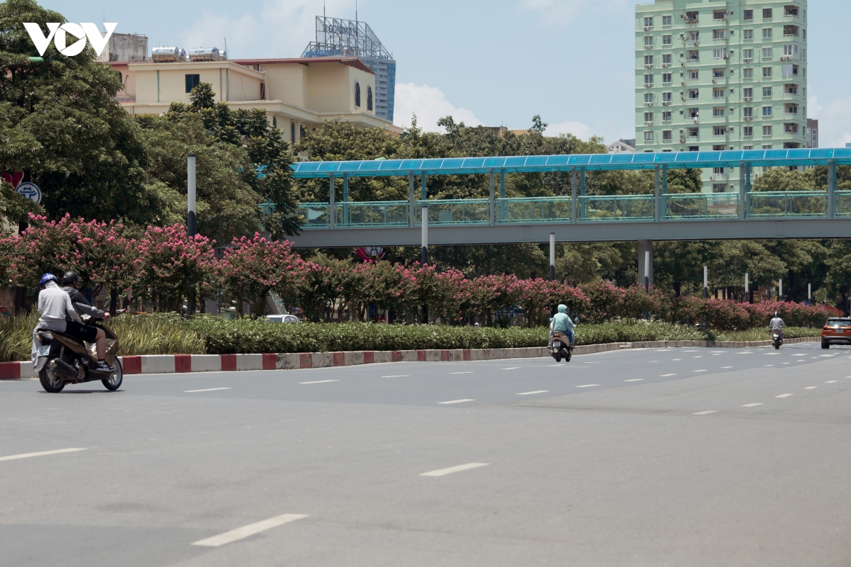 ngam hoa tuong vi khoe sac tren con duong tung duoc menh danh dep nhat viet nam hinh anh 3