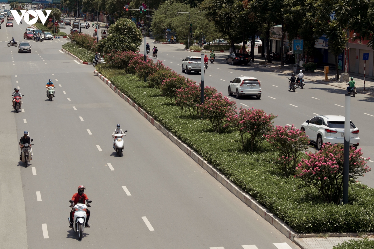 ngam hoa tuong vi khoe sac tren con duong tung duoc menh danh dep nhat viet nam hinh anh 2