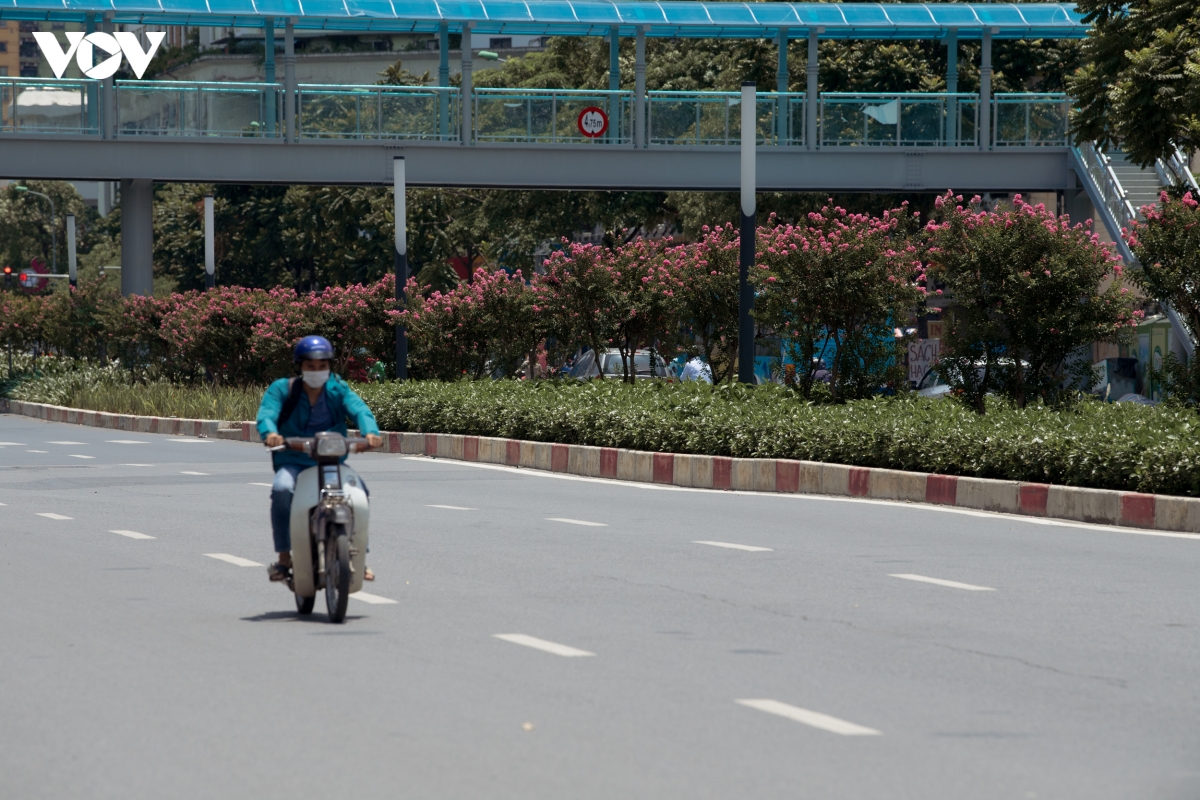 ngam hoa tuong vi khoe sac tren con duong tung duoc menh danh dep nhat viet nam hinh anh 12