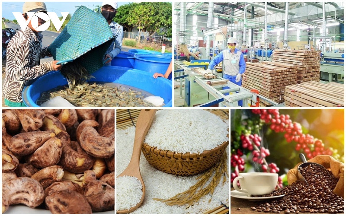 vietnamese export turnover enjoys 28.4 surge in first half picture 1