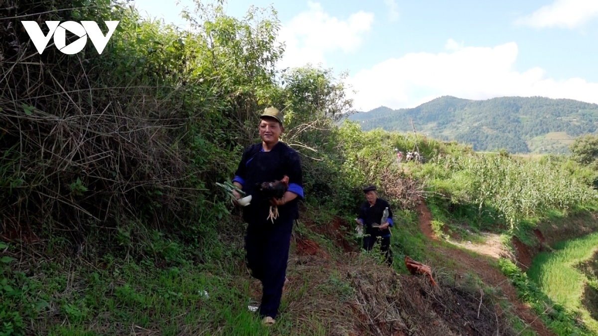 Doc dao le cung ruong bac thang cua dong bao mong o mu cang chai hinh anh 7