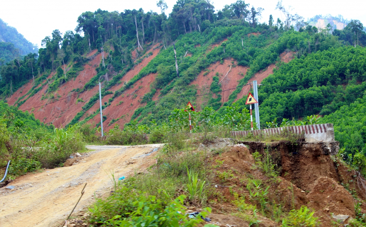 hiem hoa rinh rap tren cac cung duong mien nui quang nam hinh anh 2