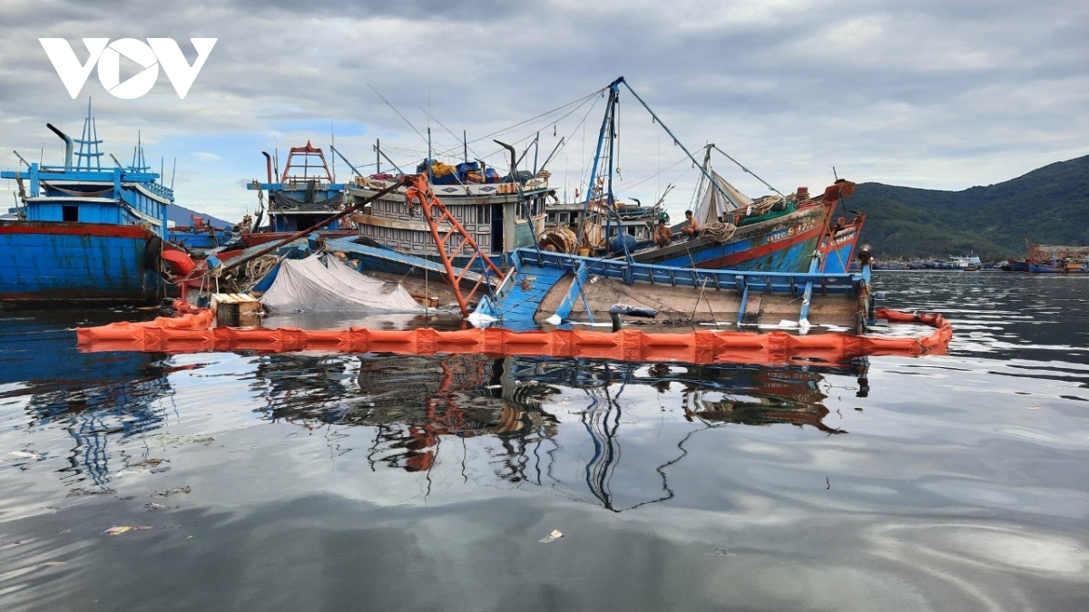 Da nang lung tung khi ung xu voi ngu dan vao au thuyen cang ca tho quang hinh anh 1