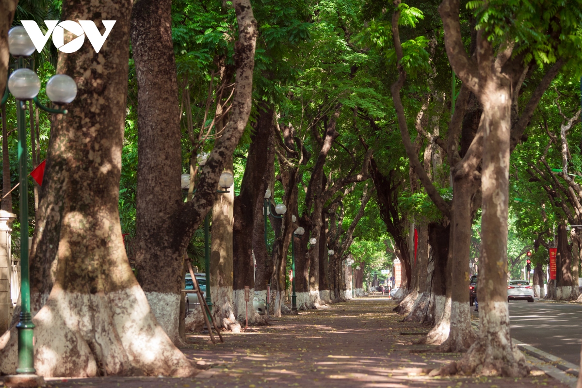 Lặng lẽ ngắm Hà Nội vào thu