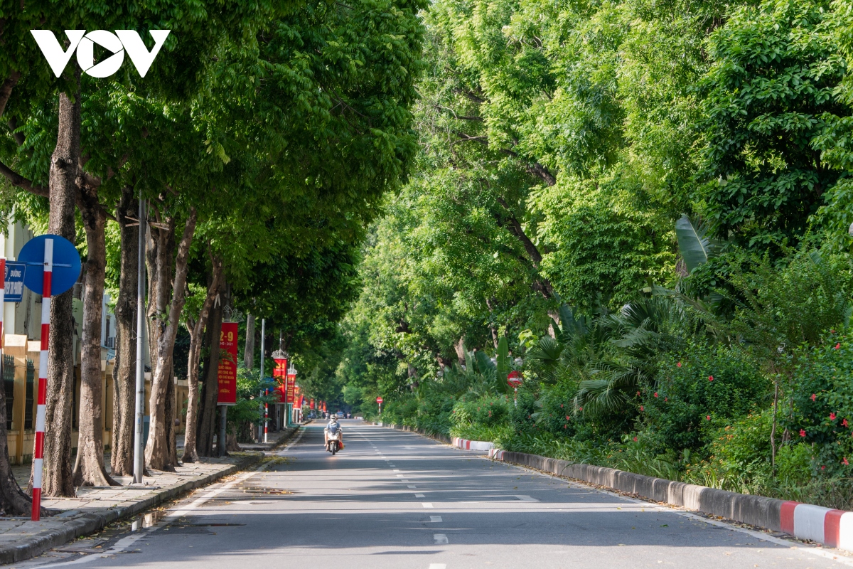 ngam duong pho ha noi rop bong cay xanh, thanh vang nhung ngay gian cach hinh anh 8