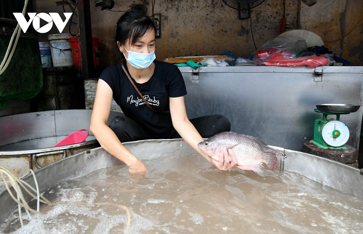 cho Dong xa ha noi mo cua sau 21 ngay phong toa hinh anh 19