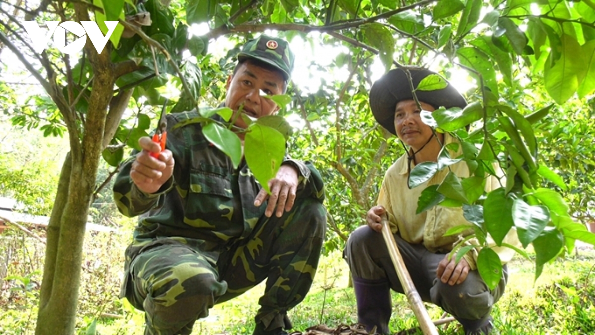 Nhiều Đảng viên làm giàu trên vùng đất khó miền núi Quảng Nam