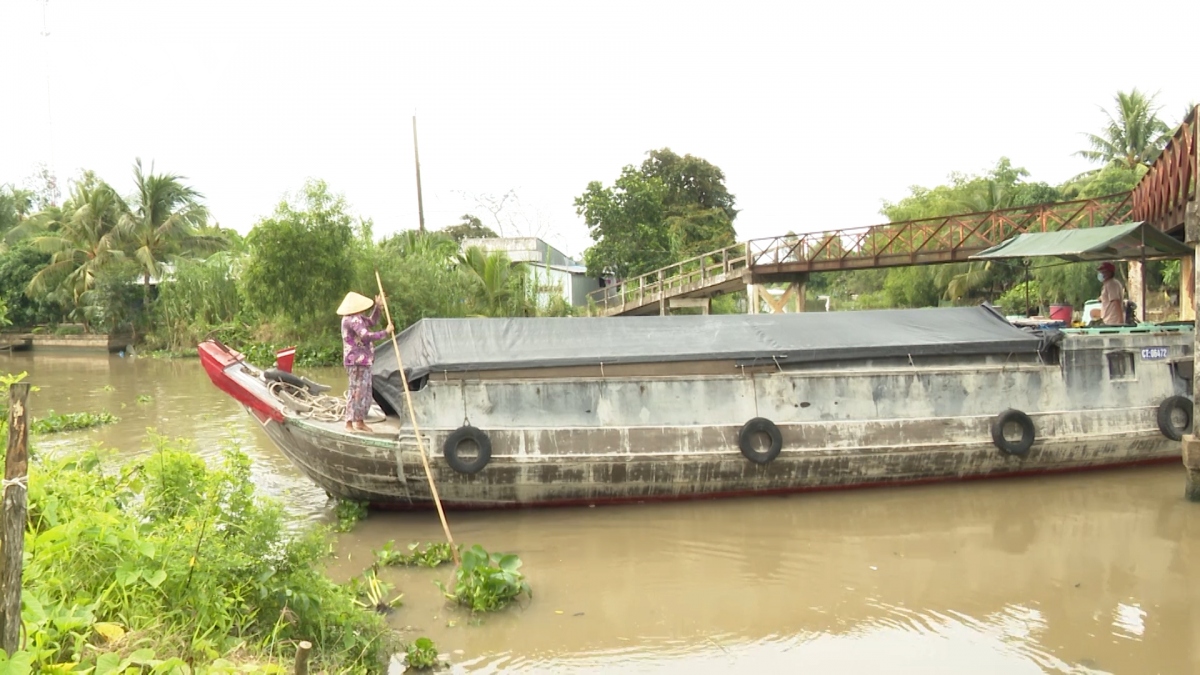 hau giang vua tao luong xanh vua bao ve va mo rong vung xanh hinh anh 2