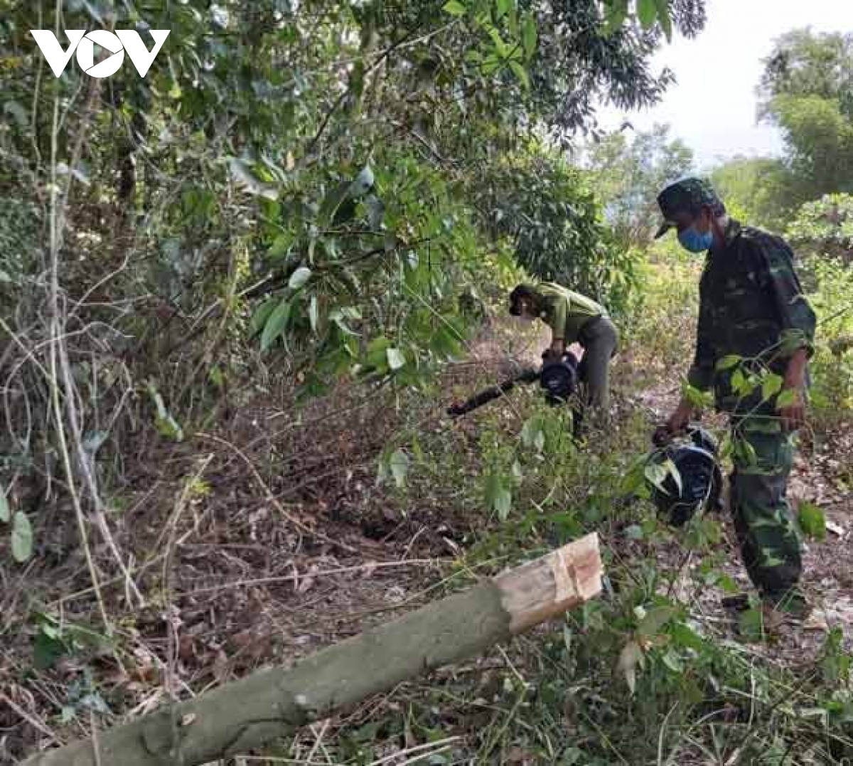 Da nang tang cuong phong chong chay rung trong mua nang nong gay gat hinh anh 1