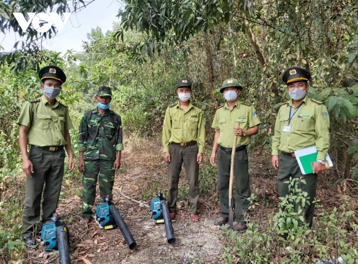 Da nang tang cuong phong chong chay rung trong mua nang nong gay gat hinh anh 5