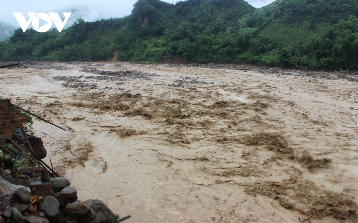 ky uc thuong dau tu lu du hinh anh 1