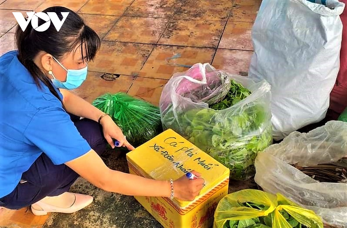 nguoi dan dat rung u minh ha gui bo rau, con ca den tp.hcm hinh anh 2