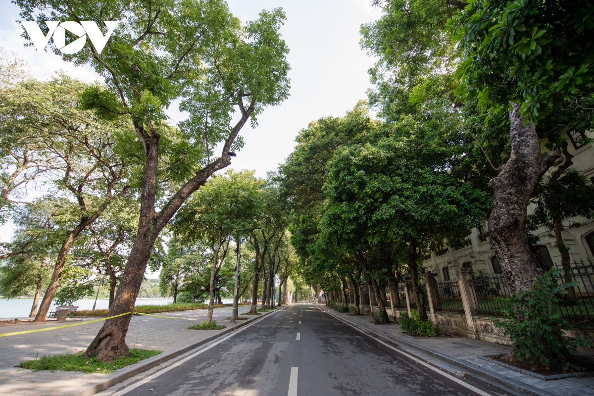 ngam duong pho ha noi rop bong cay xanh, thanh vang nhung ngay gian cach hinh anh 7