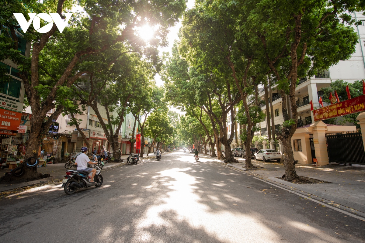 ngam duong pho ha noi rop bong cay xanh, thanh vang nhung ngay gian cach hinh anh 14