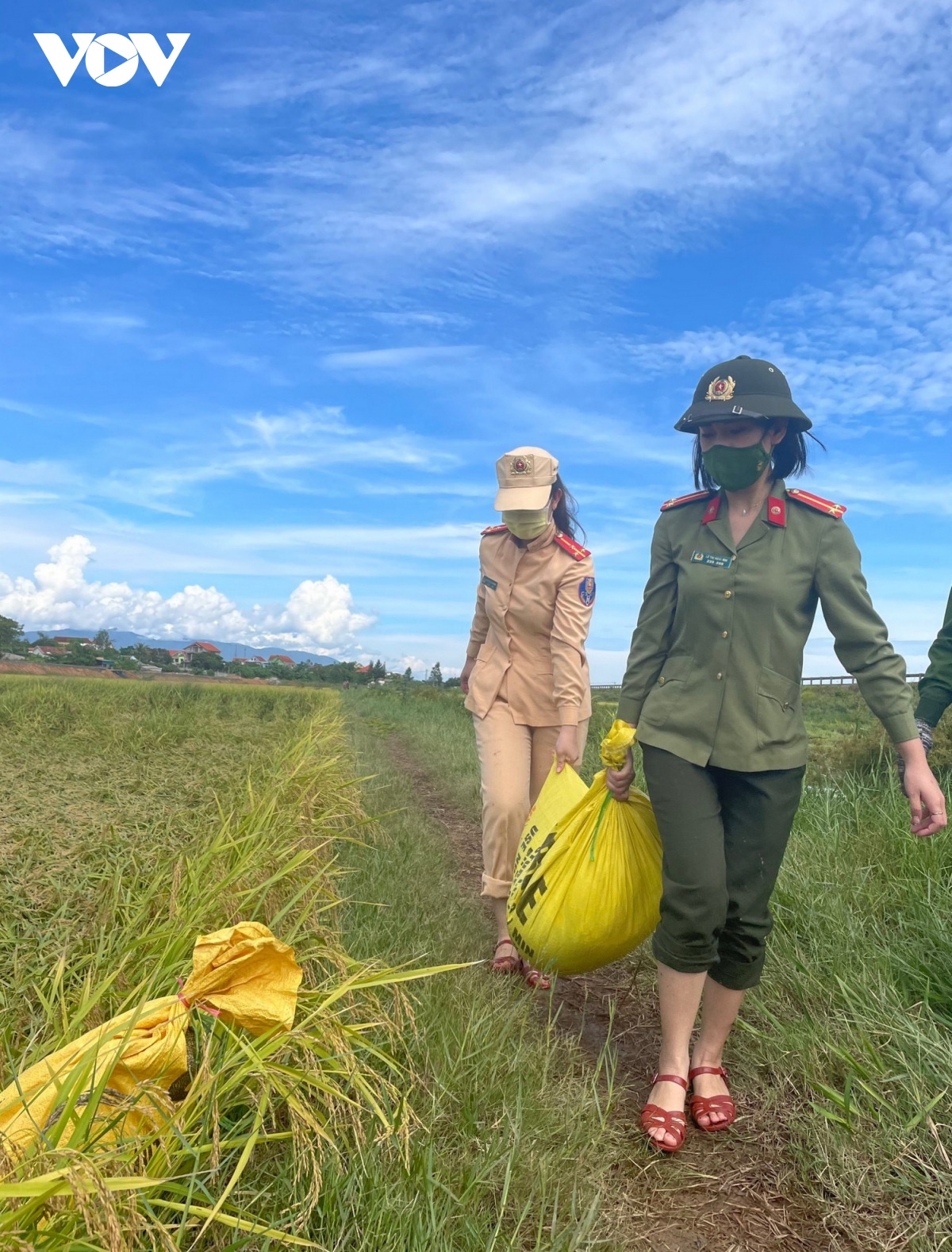 quang binh vua ung pho thien tai, vua tap trung chong dich covid-19 hinh anh 1