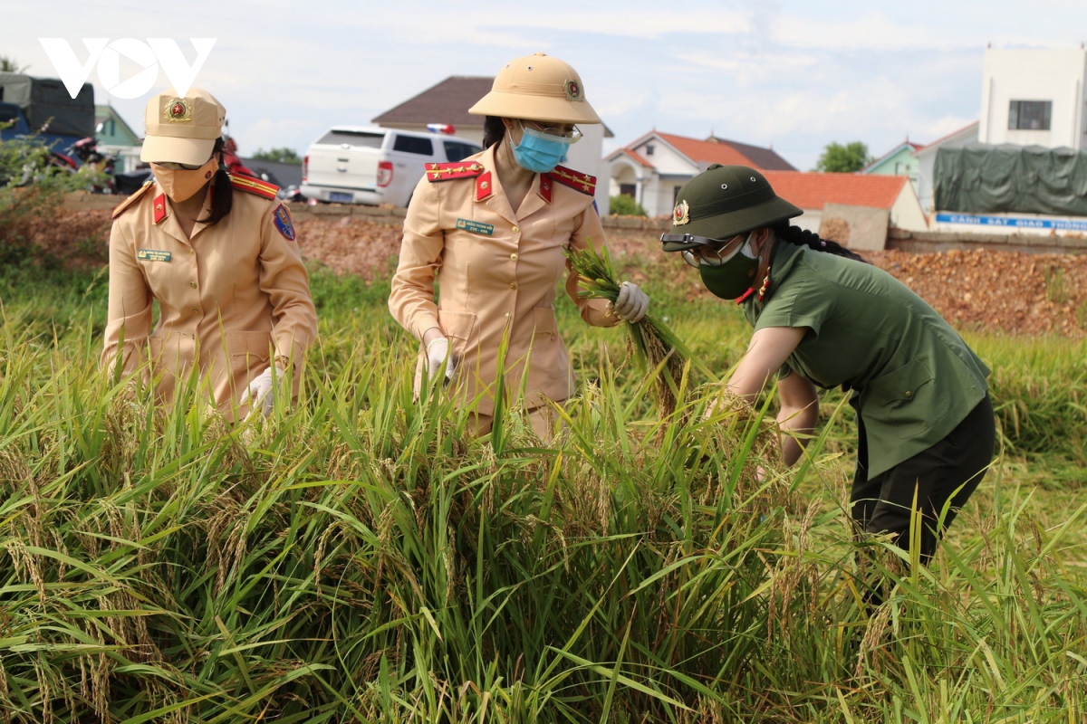 quang binh vua ung pho thien tai, vua tap trung chong dich covid-19 hinh anh 3