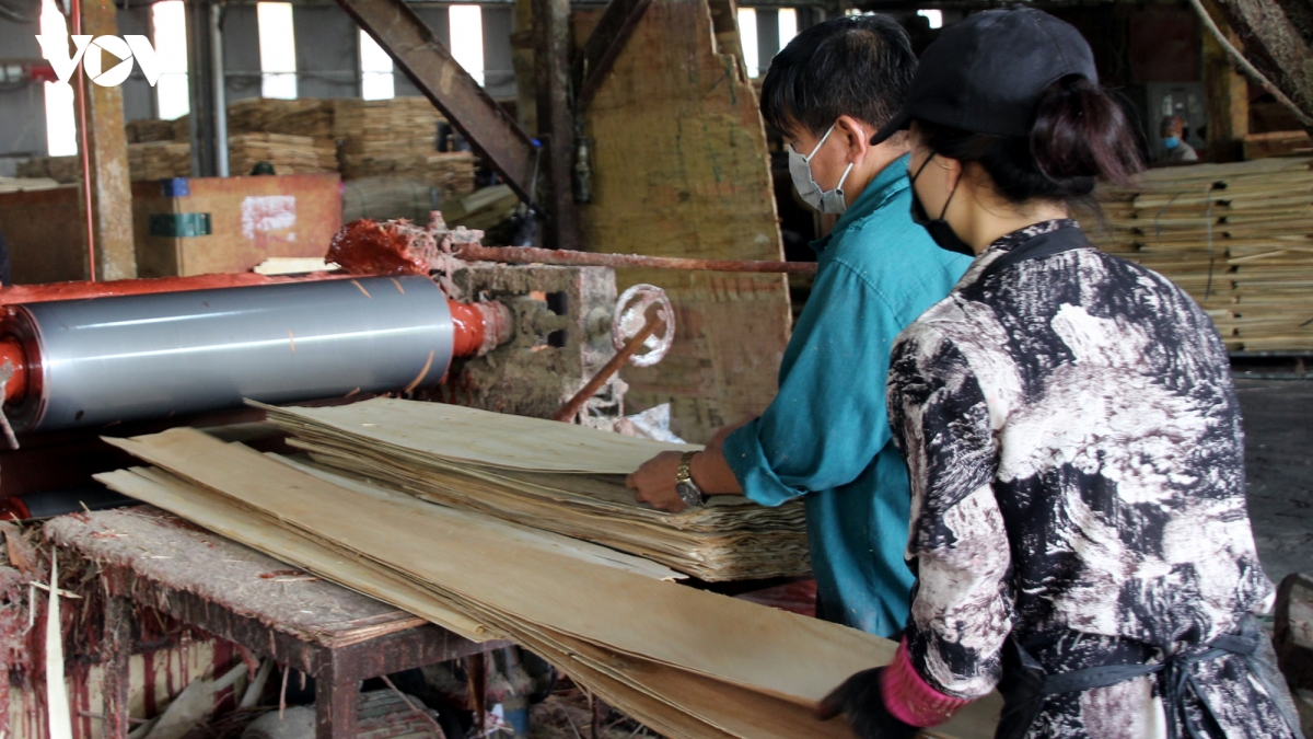gian lan xuat xu tac dong tieu cuc den xuat khau vao thi truong eu hinh anh 1