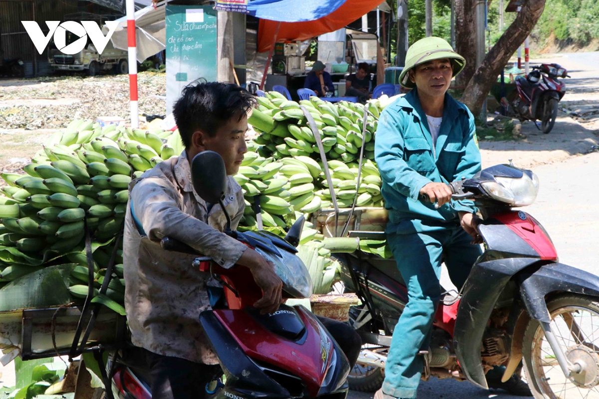 nong dan lai chau gap kho trong tieu thu chuoi xanh hinh anh 1