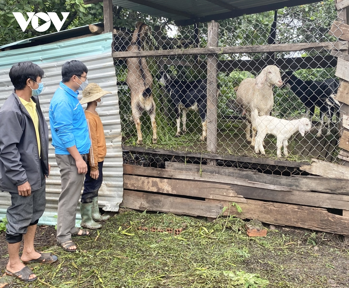 《小笨熊专横狂十万》动漫