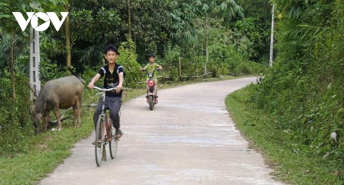 chuyen nguoi dan ung tien, gop tien lam duong o yen bai hinh anh 1