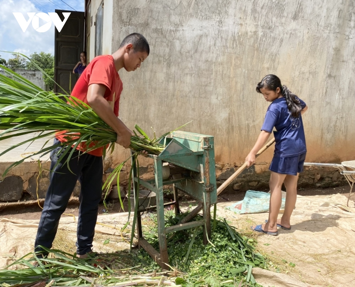 nguon von tin chap ba do giup tung buoc xoa doi giam ngheo o Dak lak hinh anh 2