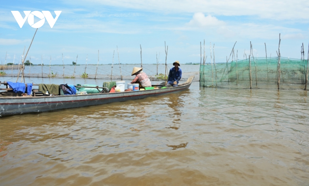 vung dau nguon o an giang tao sinh ke khi khong co mua nuoc ve hinh anh 5