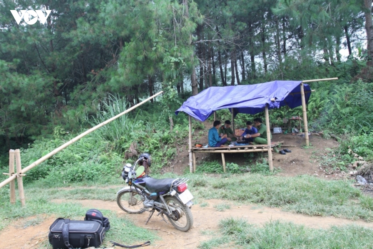 no luc kiem dich giua rung o vung cao yen bai hinh anh 18