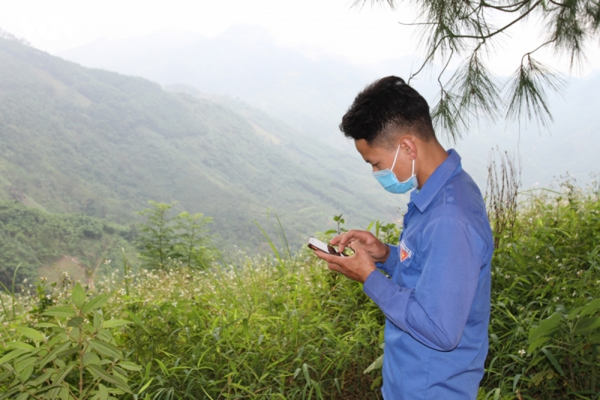 no luc kiem dich giua rung o vung cao yen bai hinh anh 4