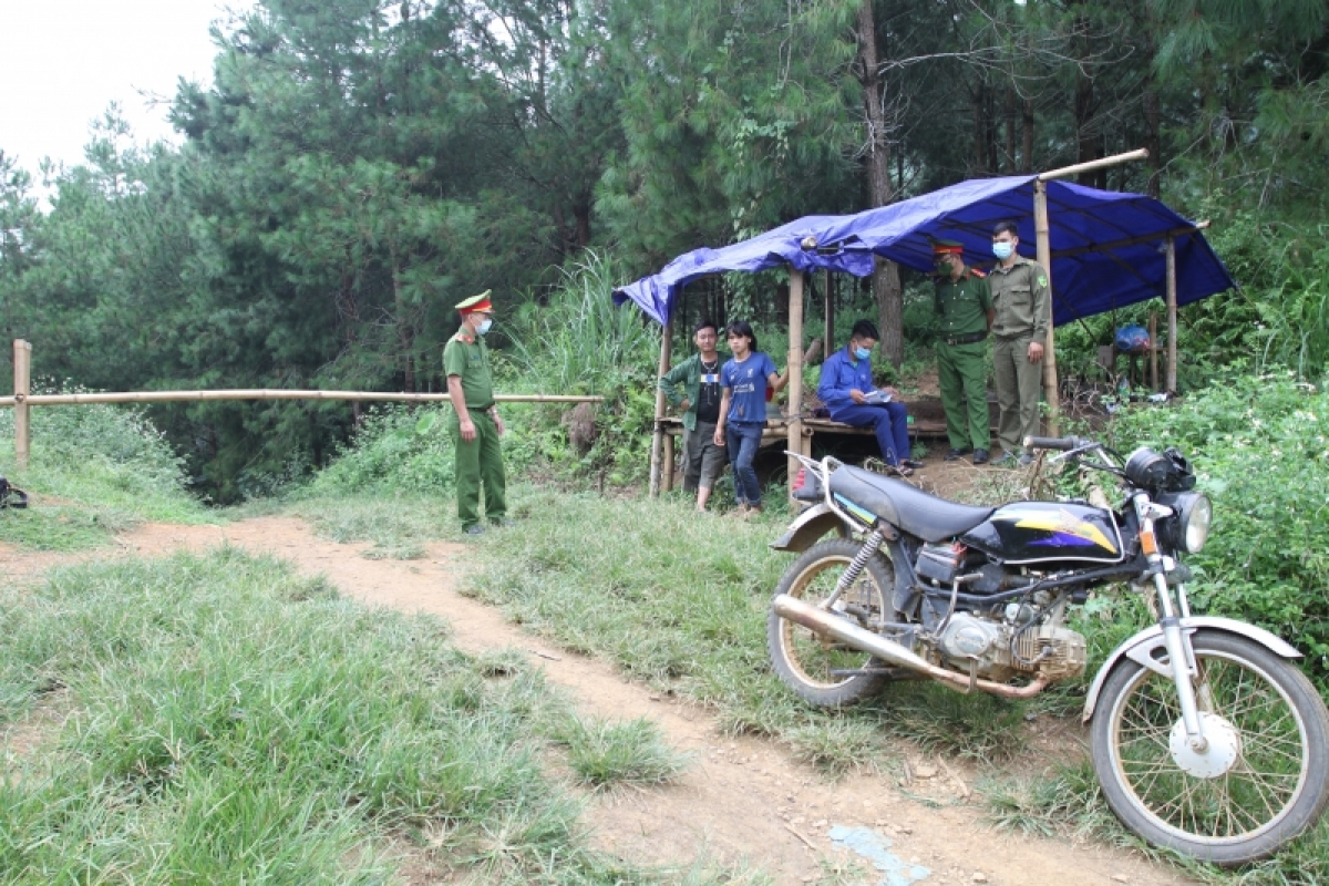 no luc kiem dich giua rung o vung cao yen bai hinh anh 5