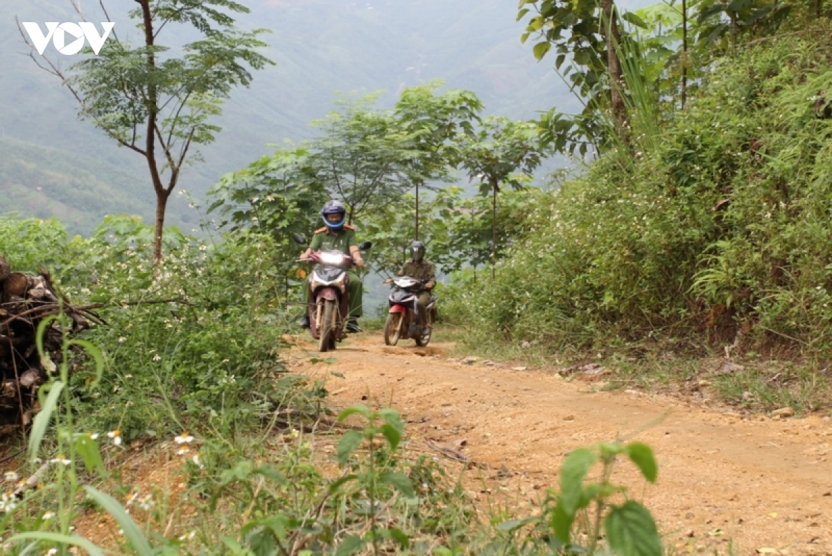 no luc kiem dich giua rung o vung cao yen bai hinh anh 2