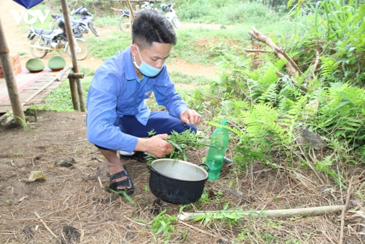 no luc kiem dich giua rung o vung cao yen bai hinh anh 3