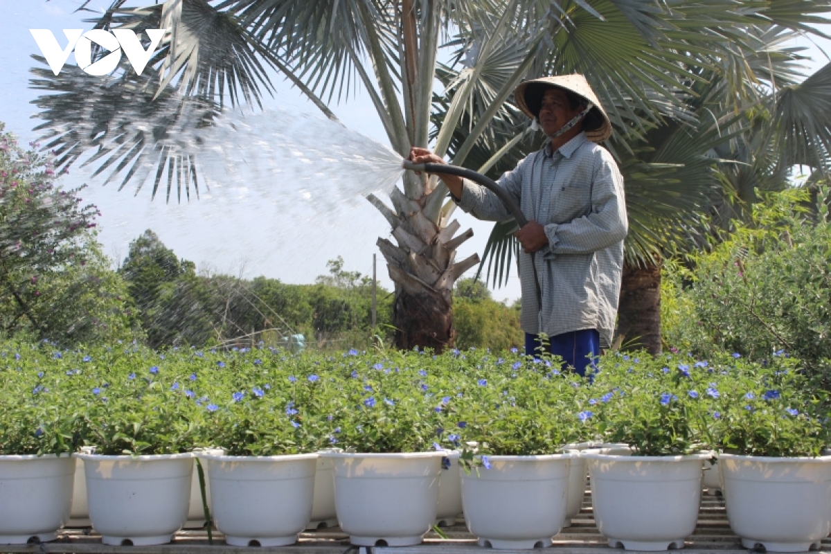 Người lao động bị ảnh hưởng dịch tại Vĩnh Long được vay 100 triệu đồng để tái sản xuất